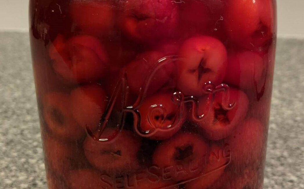 Homemade Maraschino Cherries