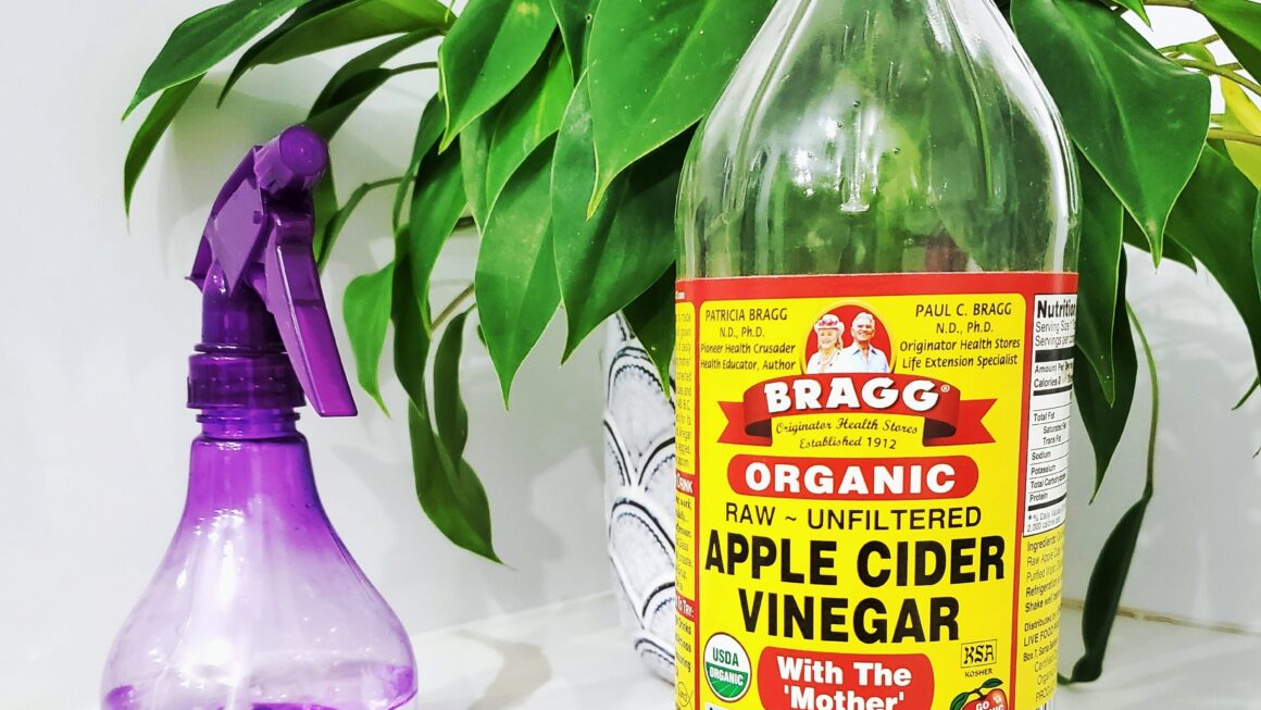 10 Unique and Surprising Uses for Vinegar