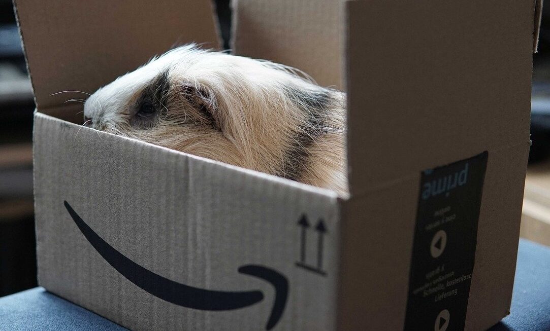 Expired: Amazon Prime Day for Pets