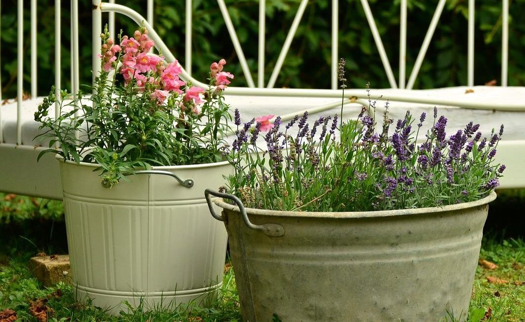 Fragrant Herbs for Your Garden